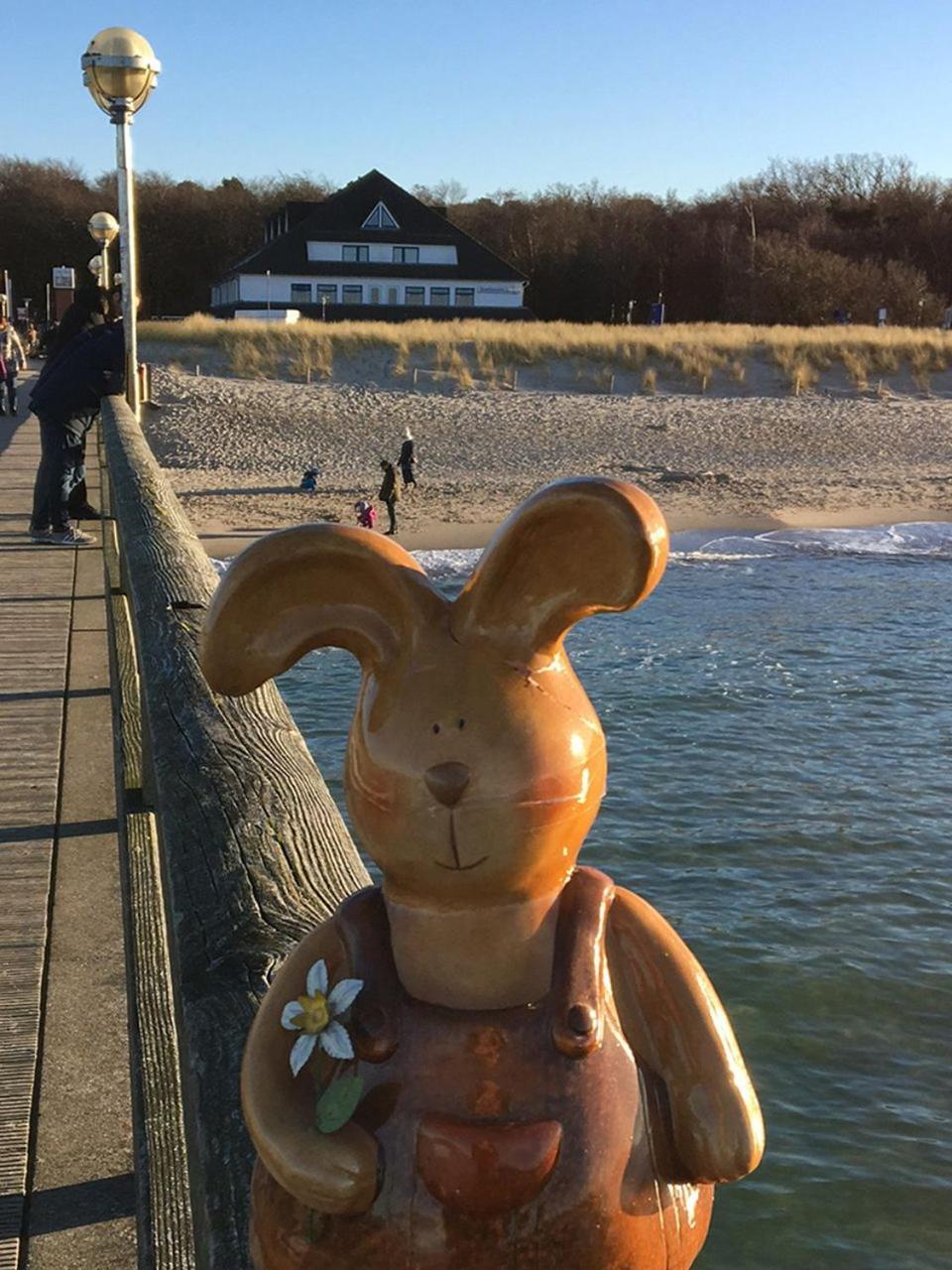 Hotel Ostseewoge Graal-Mueritz Kültér fotó